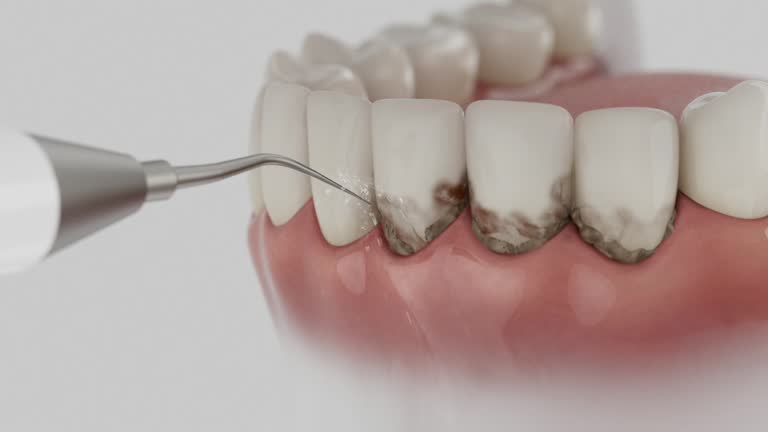 Reliable Dental contractor in Gulf Park Estates, MS by Dentist Open Now